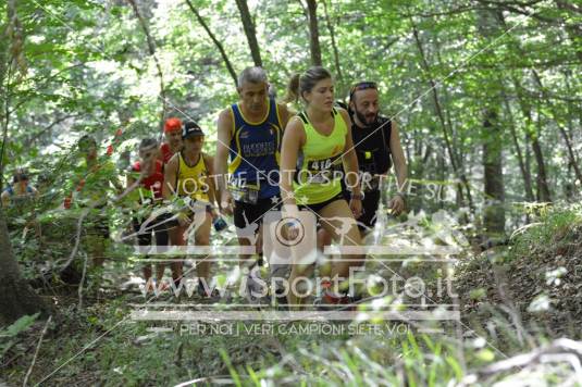 Sulle Tracce Del Lupo 2016: Salita dopo 2km dalla partenza