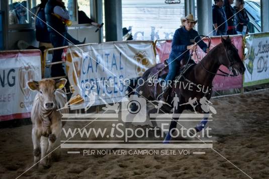 campionato italiano AIQH finale