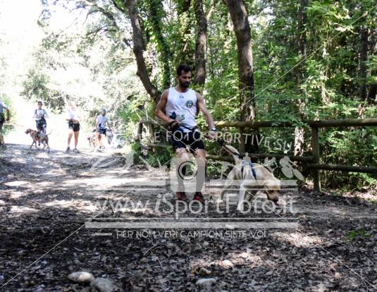 Campionato Italiano CaniCross