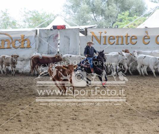 Campionato Italiano Team Penning - AIQH
