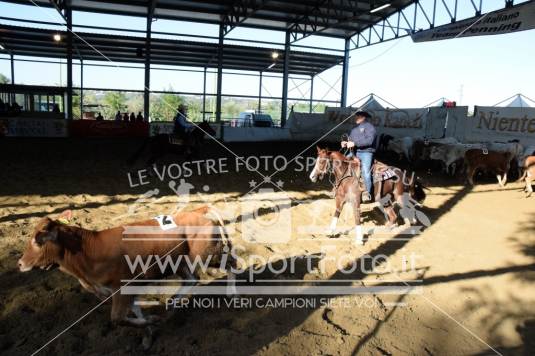 Campionato Italiano AIQH