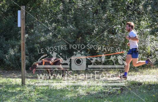 Campionato Italiano CaniCross