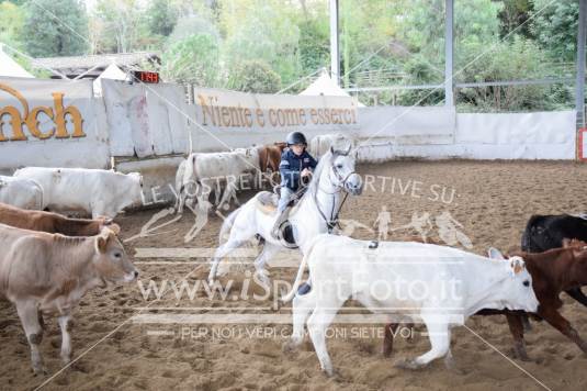 Campionato Italiano Team Penning - AIQH