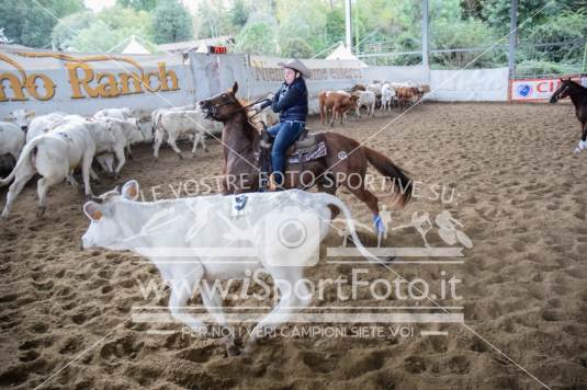 Campionato Italiano Team Penning - AIQH