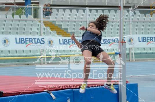 Salto in Alto