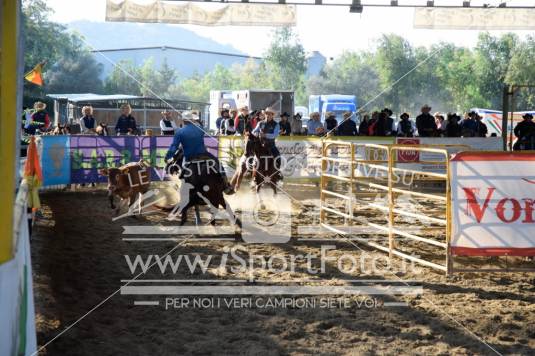 Campionato Italiano AIQH