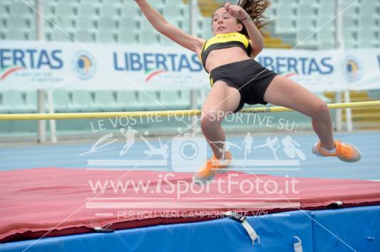 Salto in Alto