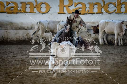 campionato italiano AIQH finale