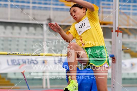 Salto in Alto