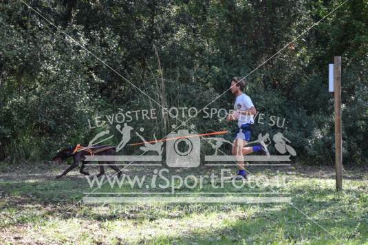Campionato Italiano CaniCross