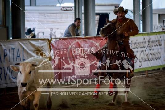 campionato italiano AIQH finale