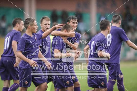 Fiorentina - Ascoli Picchio