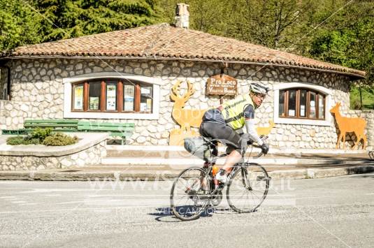 The Cyclist on the road