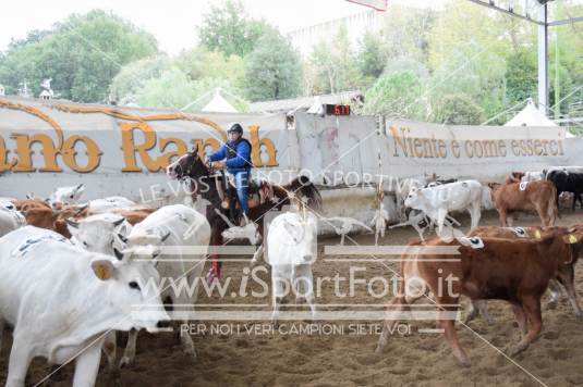 Campionato Italiano Team Penning - AIQH