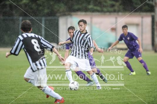 Fiorentina - Ascoli Picchio