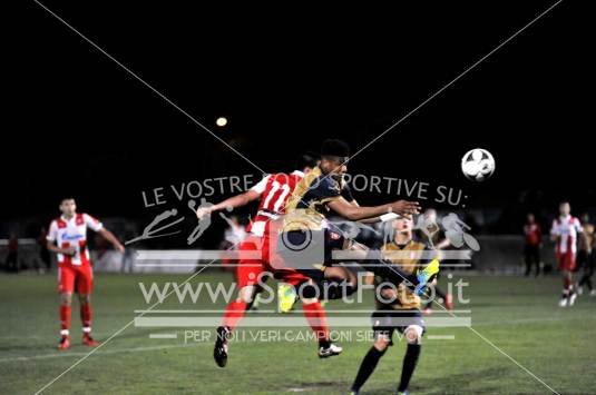 Stella Rossa vs Arsenal
