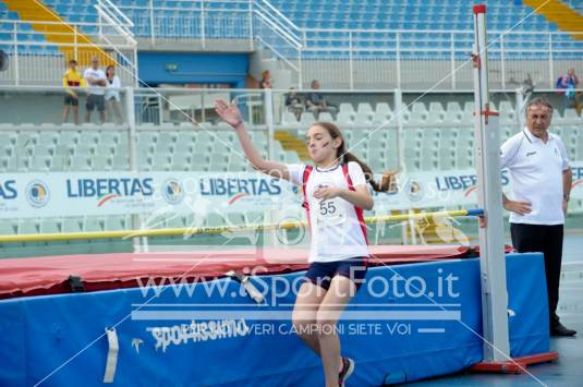 Salto in Alto