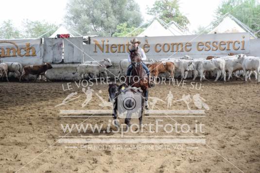 Campionato Italiano Team Penning - AIQH