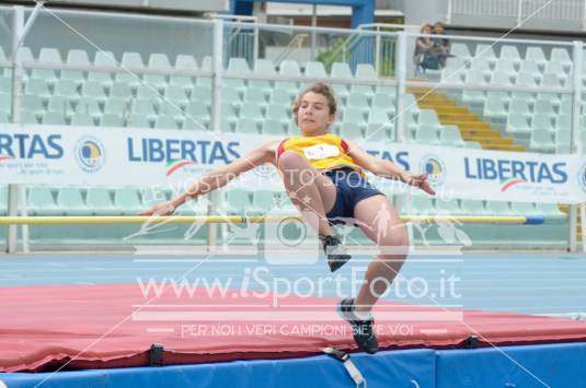 Salto in Alto