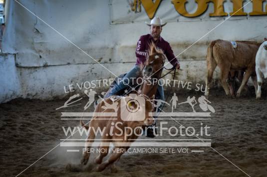 campionato italiano AIQH finale