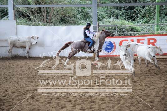 Campionato Italiano Team Penning - AIQH