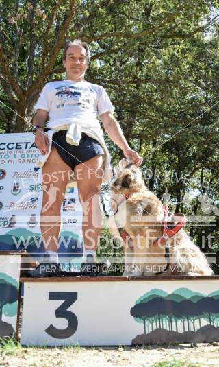Campionato Italiano CaniCross