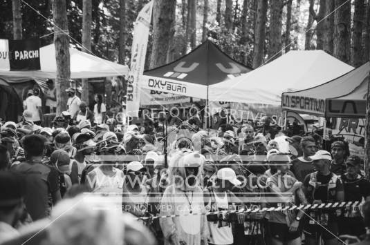 Reportage Sulle tracce del lupo 2017