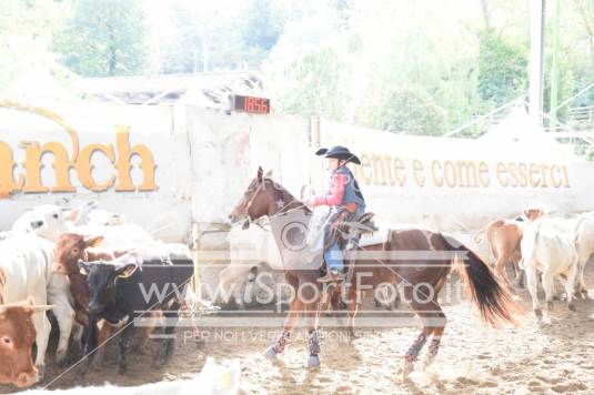 Campionato Italiano AIQH