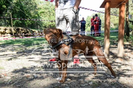 Campionato Italiano CaniCross