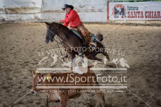 Campionato Italiano AIQH 3a tappa 6 e 7 agosto 2016