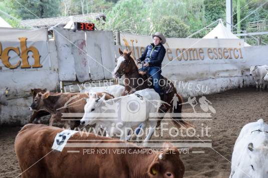 Campionato Italiano Team Penning - AIQH