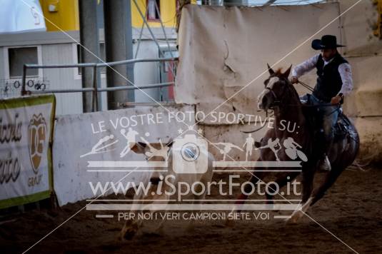 campionato italiano AIQH finale