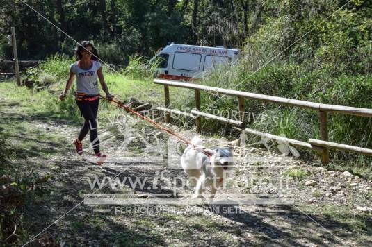 Campionato Italiano CaniCross