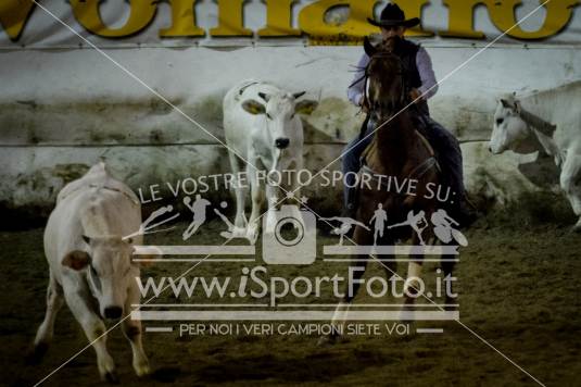 campionato italiano AIQH finale