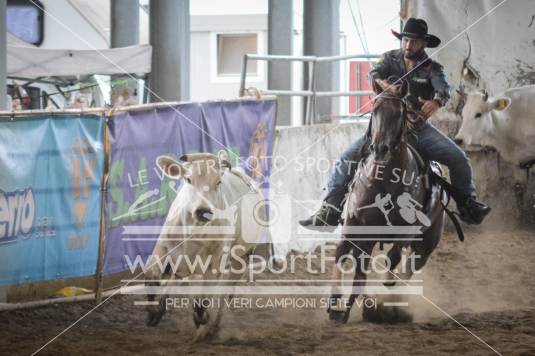 Campionato Italiano AIQH 3a tappa 6 e 7 agosto 2016