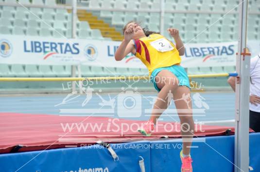 Salto in Alto