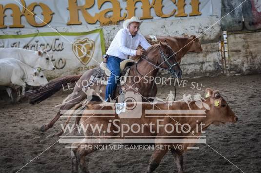 Campionato Italiano AIQH 3a tappa 6 e 7 agosto 2016