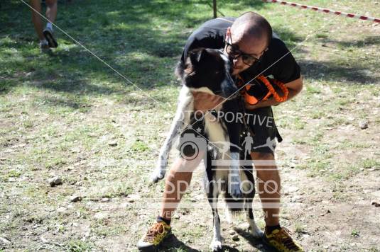 Campionato Italiano CaniCross