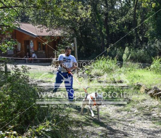 Campionato Italiano CaniCross