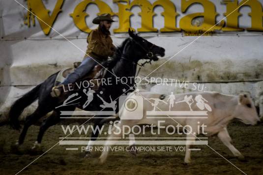 campionato italiano AIQH finale