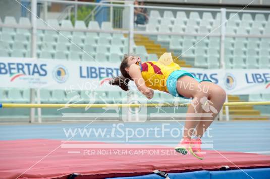 Salto in Alto