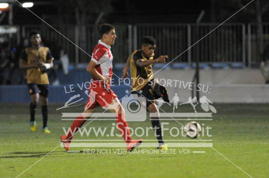 Semifinale: Arsenal vs Stella Rossa
