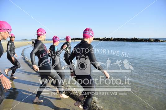 Triathlon No draft 70.3