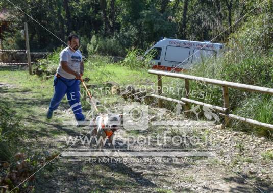 Campionato Italiano CaniCross