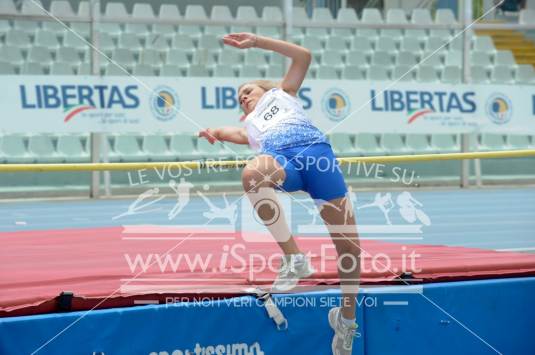 Salto in Alto
