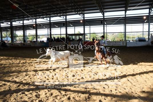 Campionato Italiano AIQH