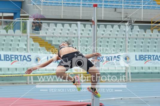 Salto in Alto