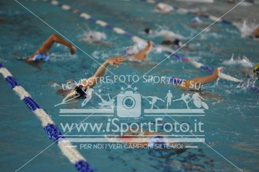 Campionati italiani di nuoto paralimpico