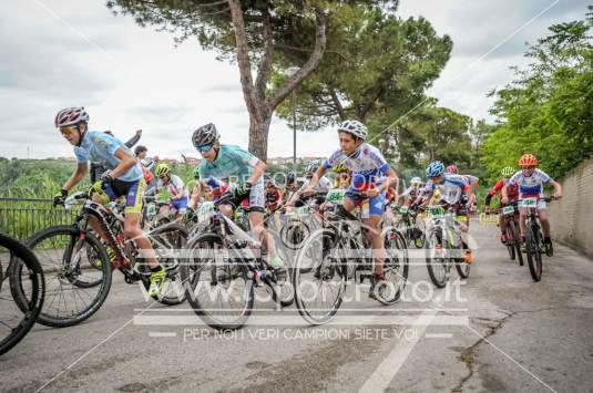 COPPA ITALIA GIOVANILE - Esordienti Secondo Anno ES2