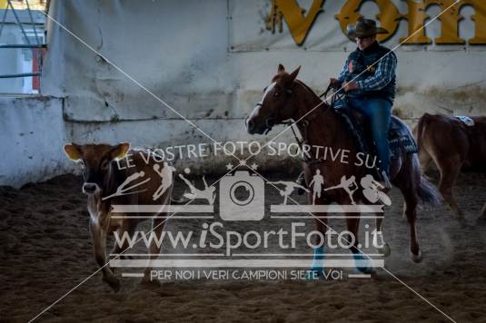 campionato italiano AIQH finale